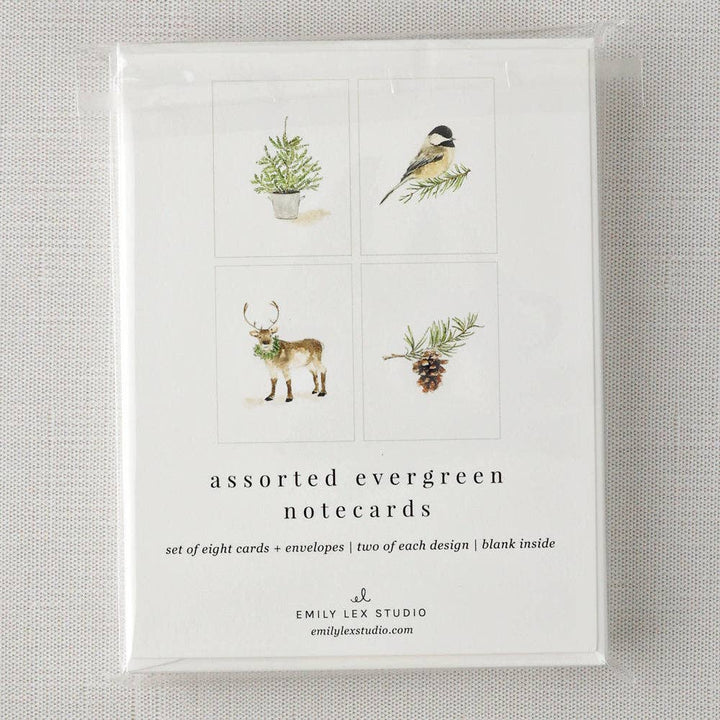 Evergreen notecard set - Small Batch Specialty Gifts
