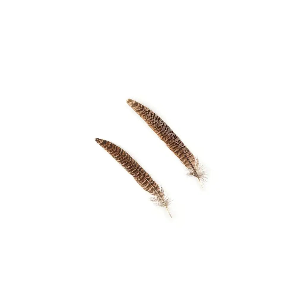 10 PC/PKG Female Ringneck Pheasant Tails 6-8"- Natural