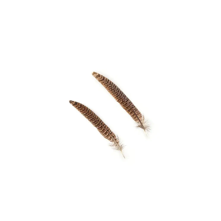 10 PC/PKG Female Ringneck Pheasant Tails 6-8"- Natural