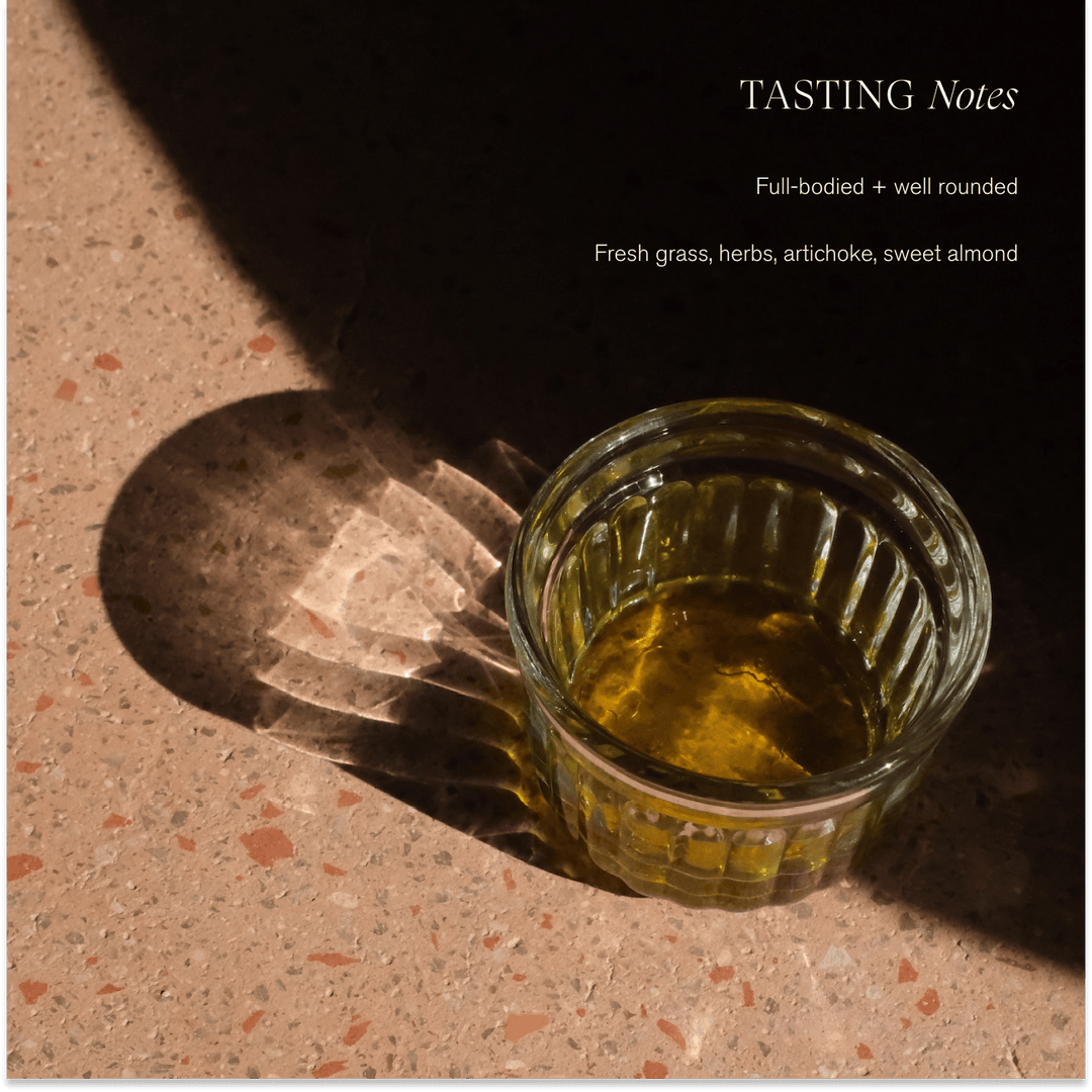Organic Extra Virgin Olive Oil | Single-Harvest / Case