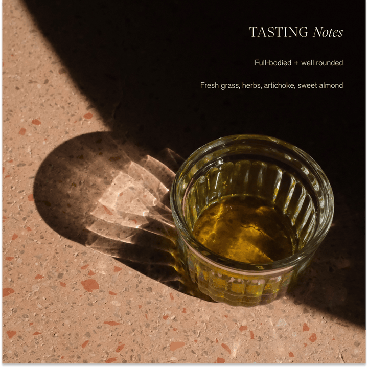 Organic Extra Virgin Olive Oil | Single-Harvest / Case