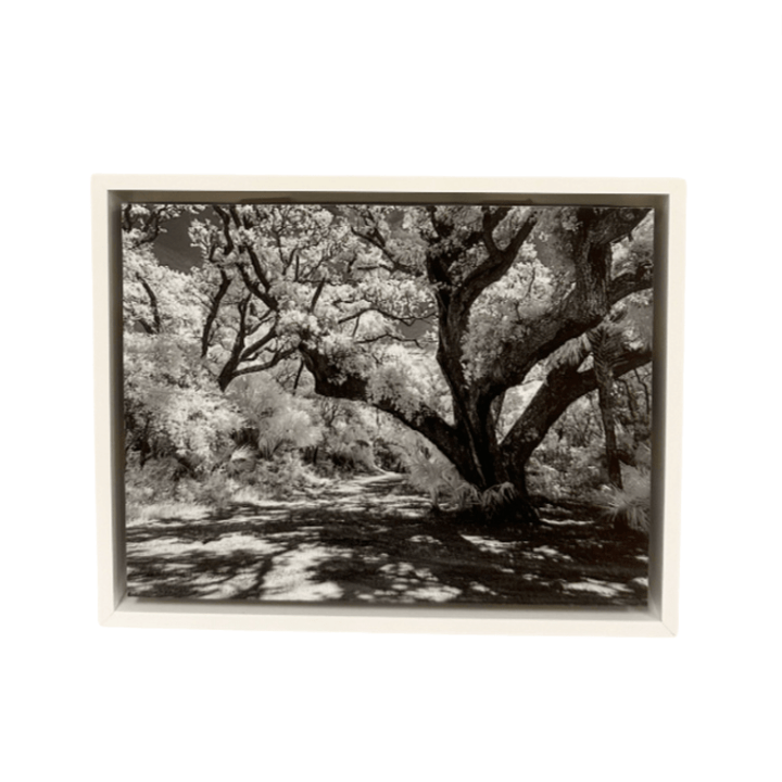 John McQuade Framed Photographs - Small Batch Specialty Gifts