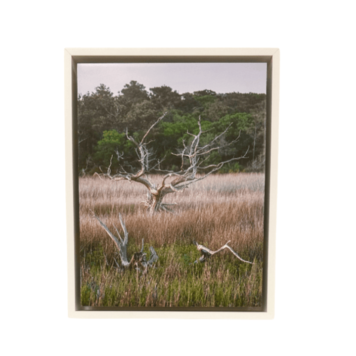 John McQuade Framed Photographs - Small Batch Specialty Gifts