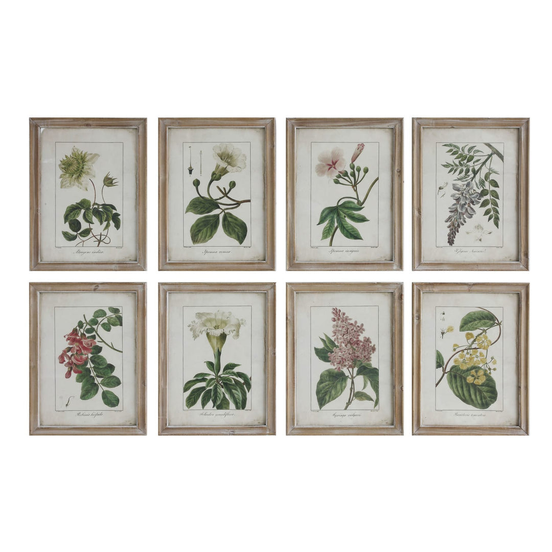 Set of eight framed botanical prints on a white background