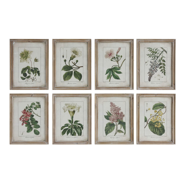 Set of eight framed botanical prints on a white background