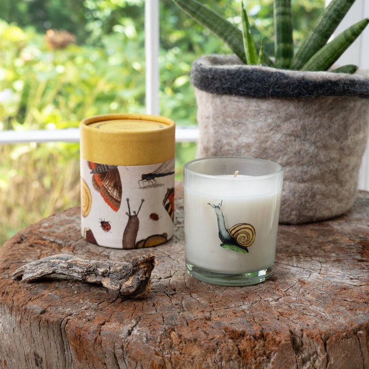Candle with snail design on a wooden surface with a plant in the background