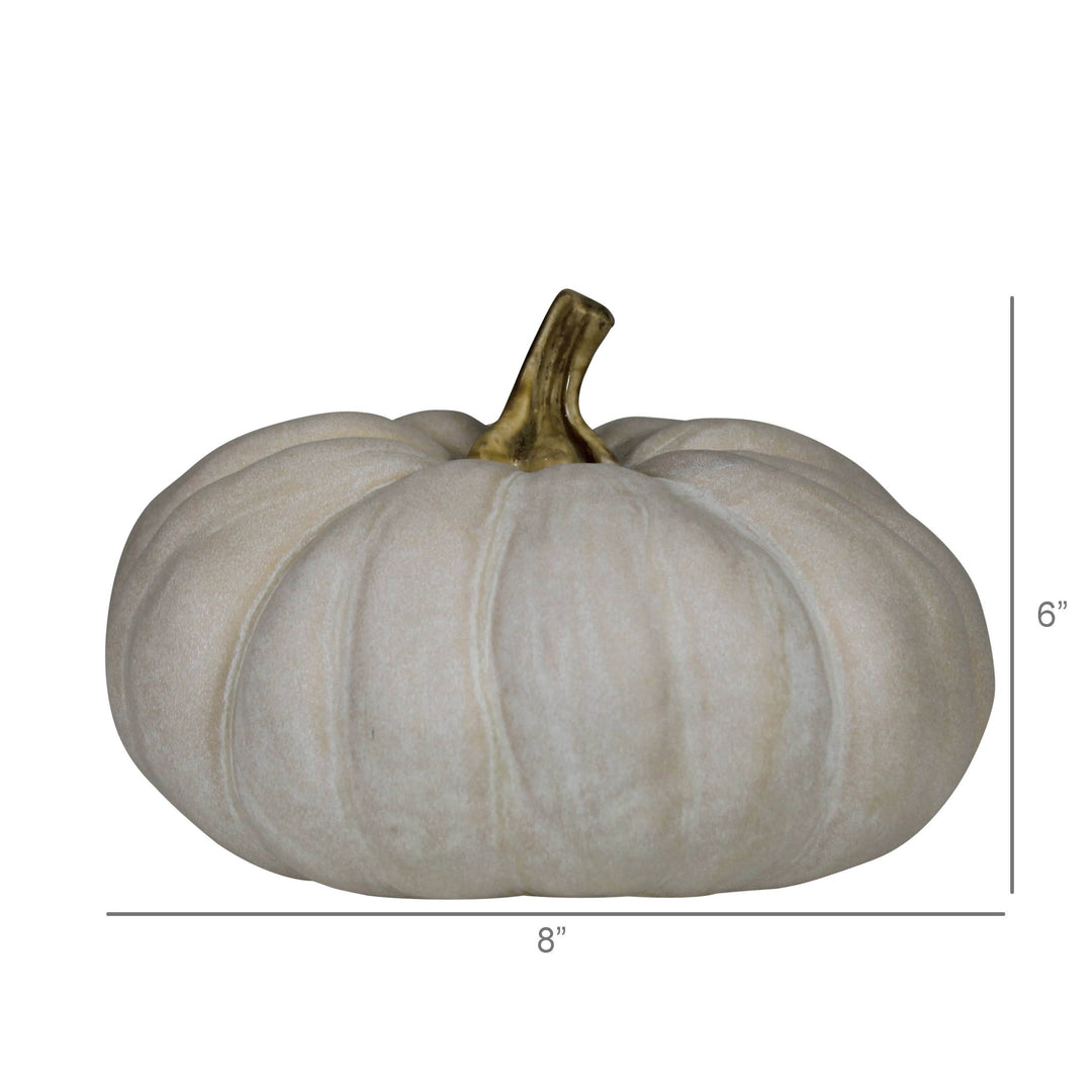 A decorative faux pumpkin in a warm off-white color with a textured surface and a metallic gold stem, shown with dimension lines indicating 8 inches in width and 6 inches in height on a white background.