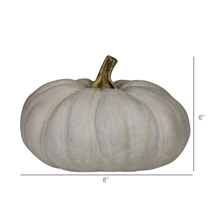 A decorative faux pumpkin in a warm off-white color with a textured surface and a metallic gold stem, shown with dimension lines indicating 8 inches in width and 6 inches in height on a white background.