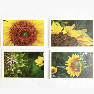 Note cards with Photos by new bern native John McQuade