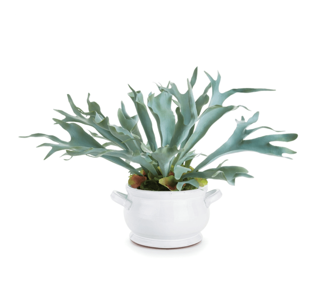 NHG Bradford Footed Bowl - Small Batch Specialty Gifts